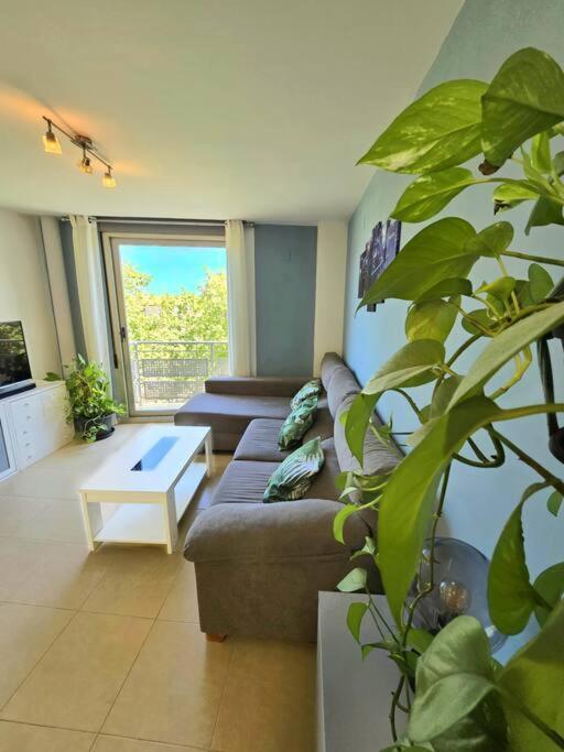 Apartmán Pont De Ferro Sun Flat Benicàssim Exteriér fotografie